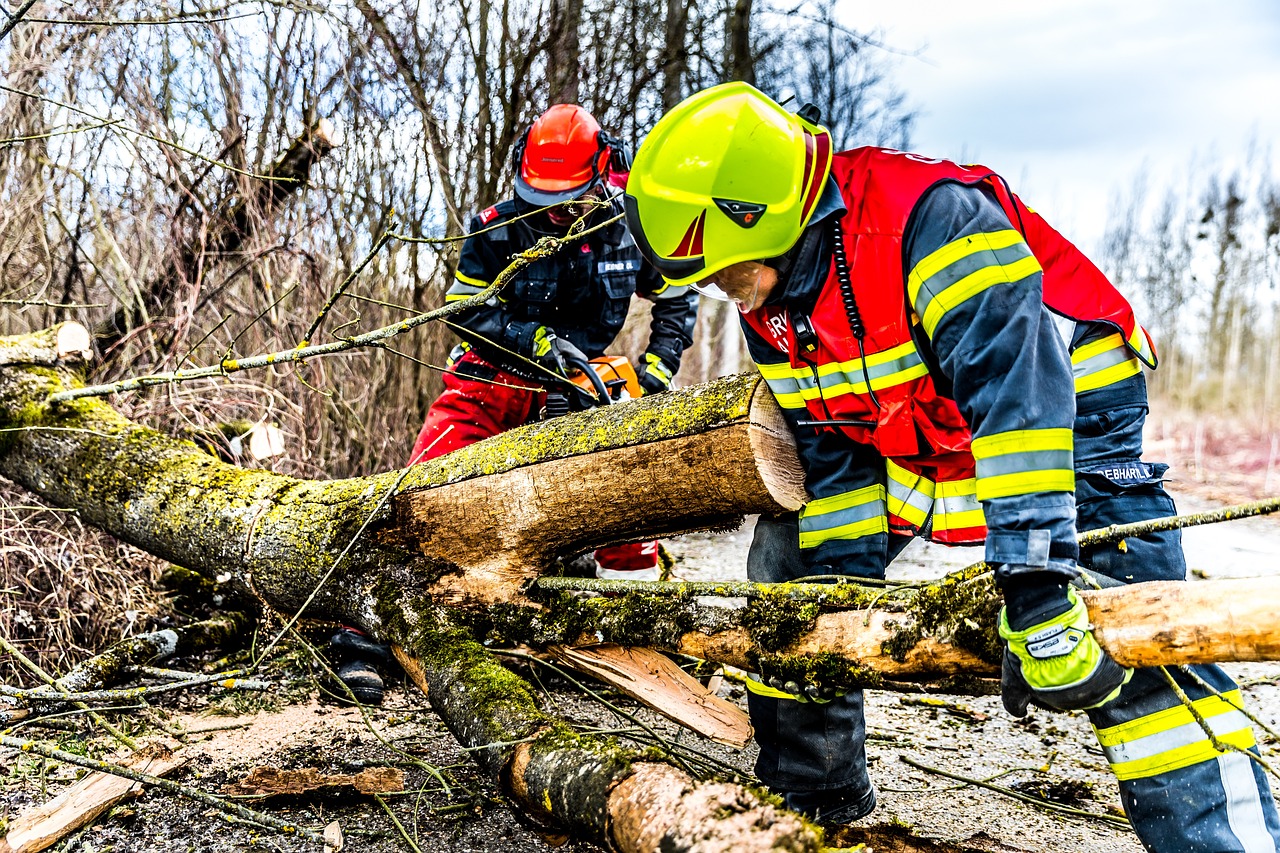 storm damage insurance claims